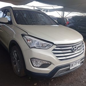 Hyundai Maxcruz 2014