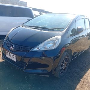 Honda Fit 2013 (Al día)
